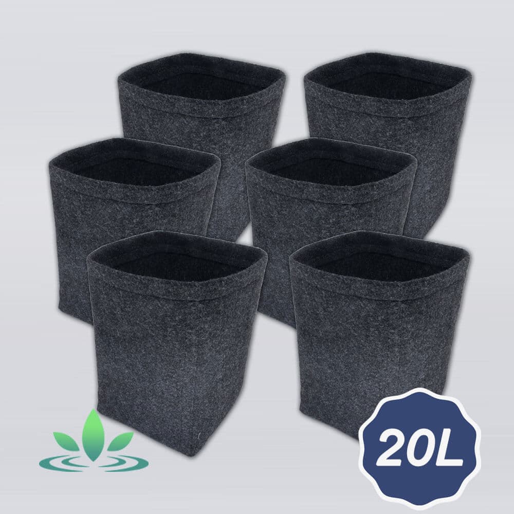 kit-6-vasos-20l